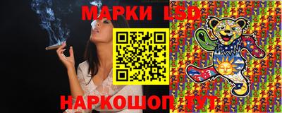 гидропоника Можга